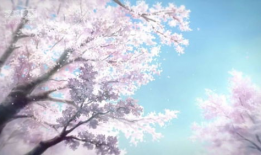 樱花网站漫画,一场穿越时空的浪漫邂逅